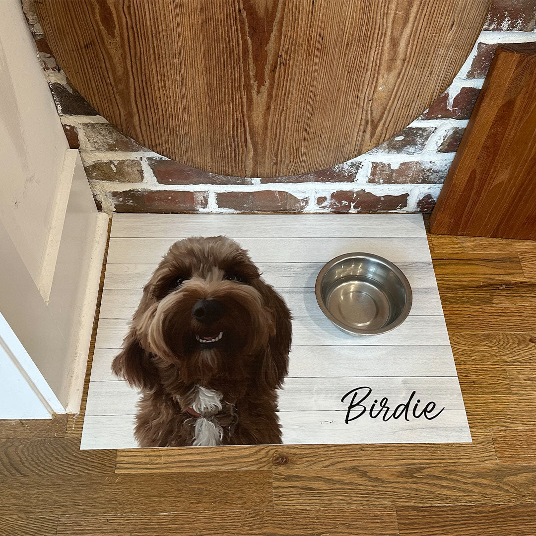 Carolina-CreekHouse-Custom-Birdie-Pet-Illustration-Liestyle.jpg__PID:71dc3b6b-3d8a-4e3d-9bd9-04ba27c1d97d