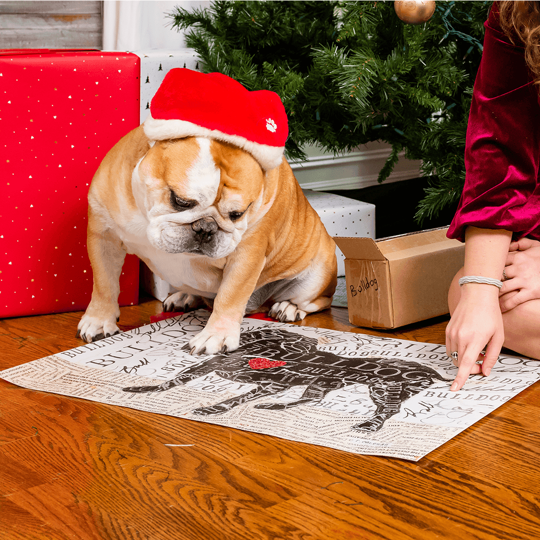 Bulldog PetFlat - Premium Vinyl Mat - Carolina Creekhouse Easy to Clean Premium Vinyl Mats