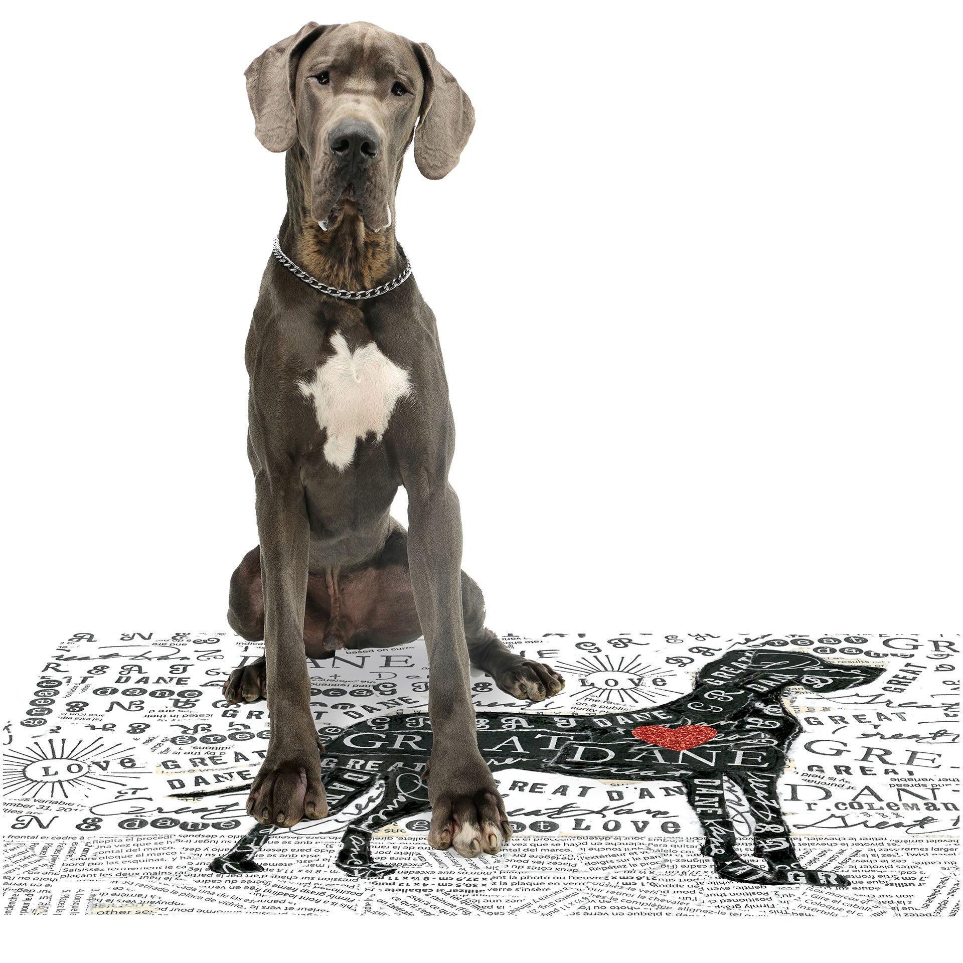 Great Dane PetFlat - Premium Vinyl Mat - Carolina Creekhouse Easy to Clean Premium Vinyl Mats
