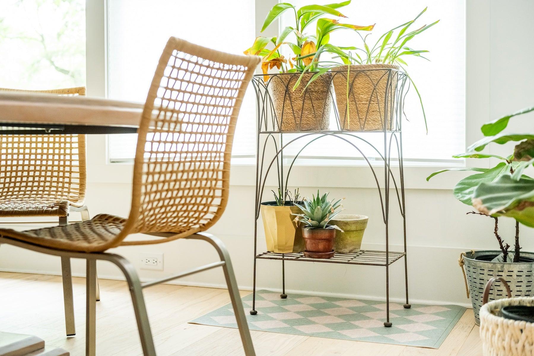 Re-everything Spring Re-Fresh Here We Come!