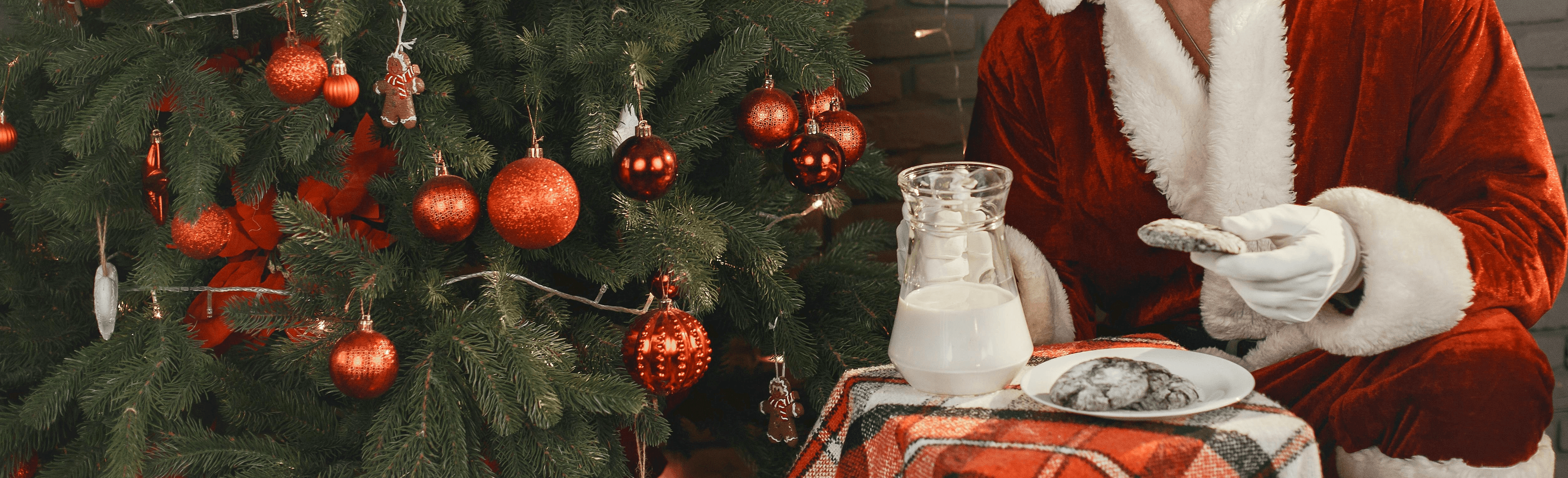 Santa's Cookies and Milk - Carolina Creekhouse Easy to Clean Premium Vinyl Mats